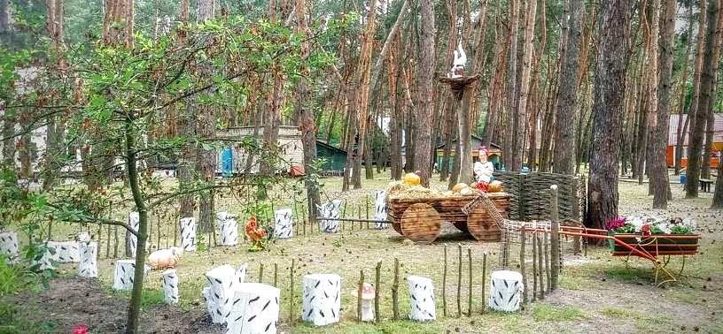 Территория базы отдыха